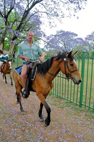 MHN4079-2011-10-29-at-09-59-42