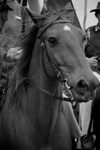 MHN4146-2011-10-29-at-10-20-08